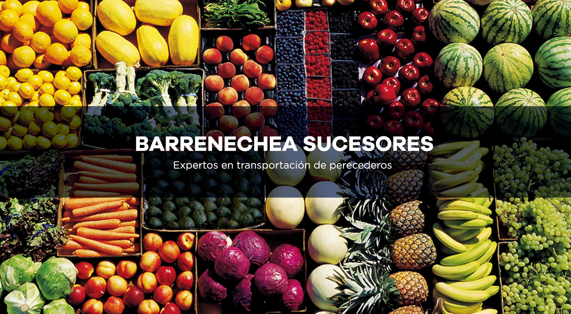 Barrenechea Sucesores SC